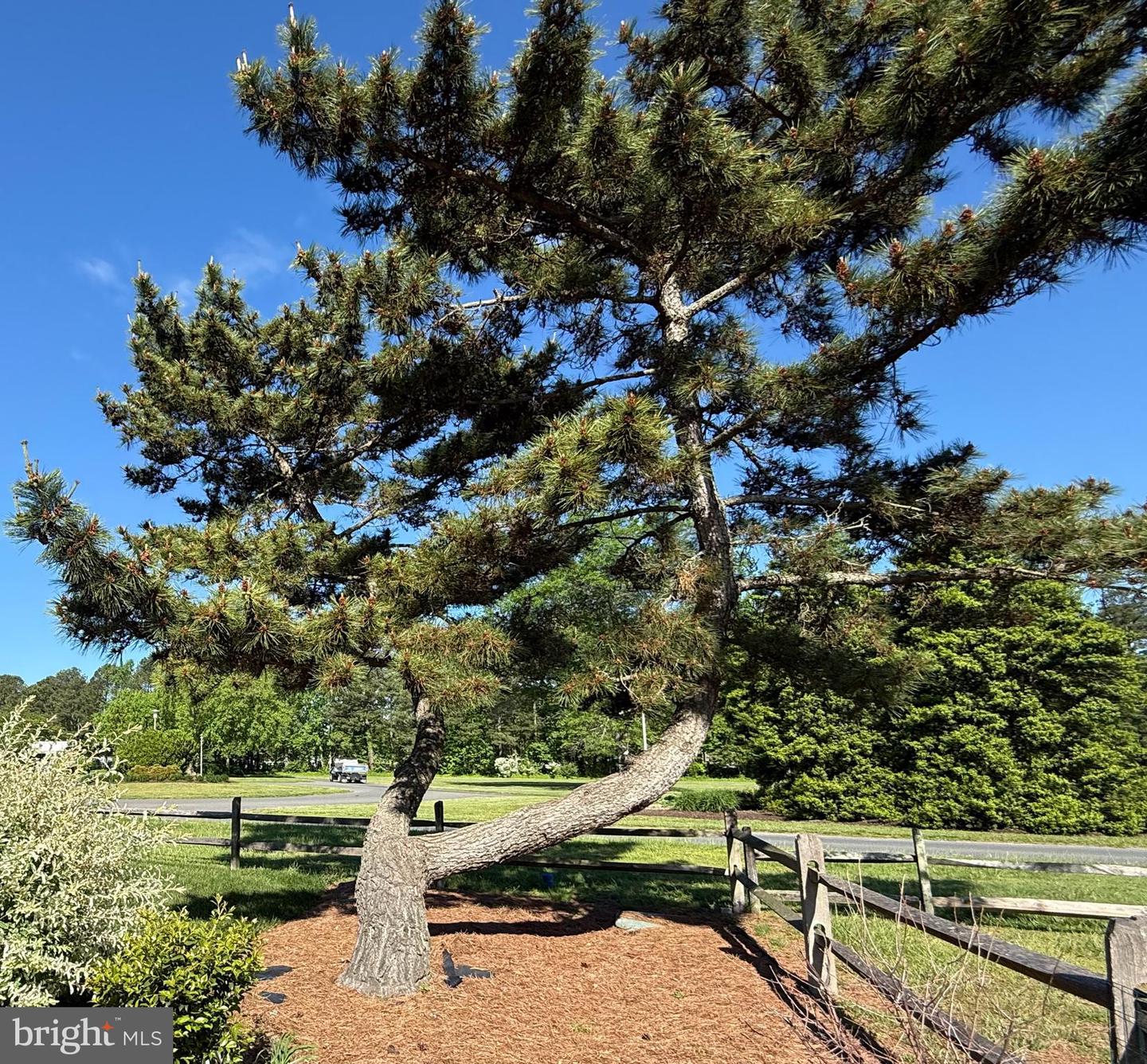DESU2086030-803841539352-2025-05-10-08-02-48 25908 Wind Dr E #1001 | Long Neck, DE Real Estate For Sale | MLS# Desu2086030  - Jack Lingo REALTOR