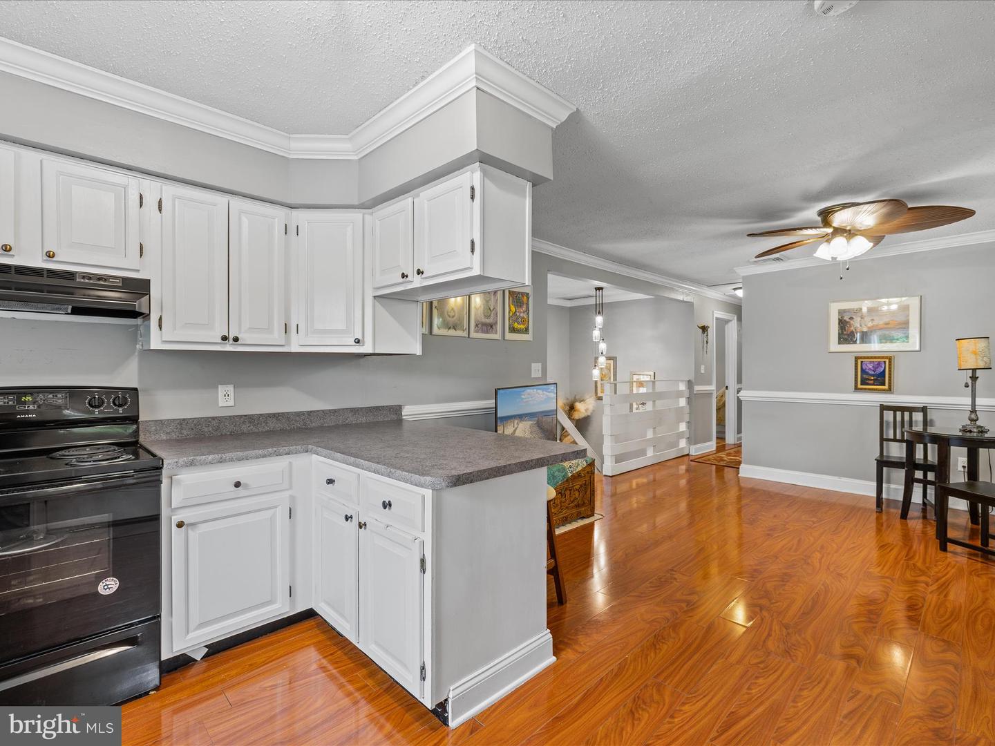 DESU2086044-803878211000-2025-06-17-15-16-02 35775 Clam Ave | Frankford, DE Real Estate For Sale | MLS# Desu2086044  - Jack Lingo REALTOR