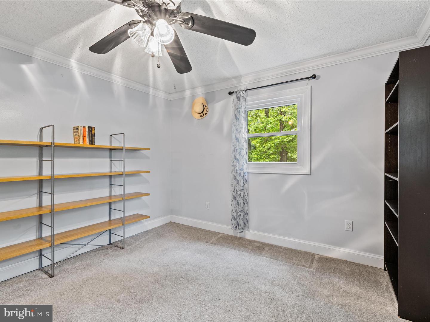 DESU2086044-803878211242-2025-06-17-15-16-02 35775 Clam Ave | Frankford, DE Real Estate For Sale | MLS# Desu2086044  - Jack Lingo REALTOR