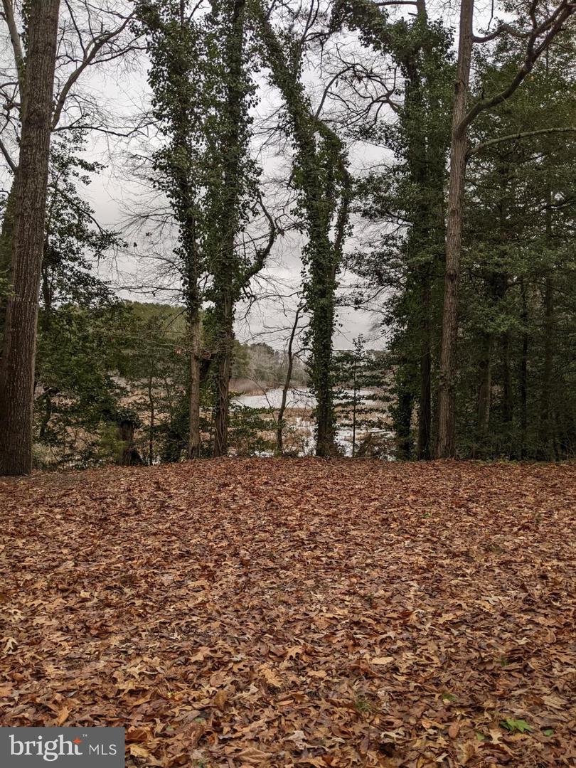 DESU2086054-803843716774-2025-10-28-12-34-59 32013 Long Ln | Lewes, DE Real Estate For Sale | MLS# Desu2086054  - Jack Lingo REALTOR