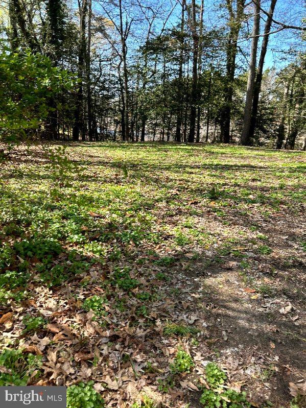 DESU2086054-803843716790-2025-10-28-12-34-59 32013 Long Ln | Lewes, DE Real Estate For Sale | MLS# Desu2086054  - Jack Lingo REALTOR