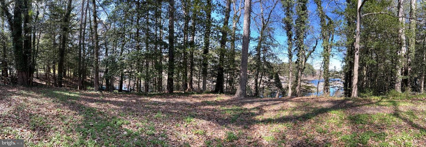 DESU2086054-803843717010-2025-10-28-12-35-00 32013 Long Ln | Lewes, DE Real Estate For Sale | MLS# Desu2086054  - Jack Lingo REALTOR