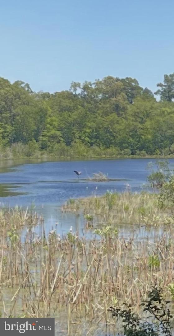 DESU2086054-803869171642-2025-10-28-12-34-59 32013 Long Ln | Lewes, DE Real Estate For Sale | MLS# Desu2086054  - Jack Lingo REALTOR