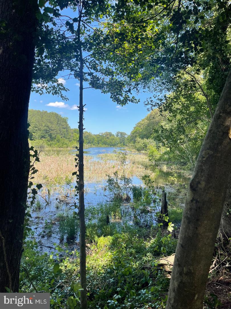 DESU2086054-803869172546-2025-10-28-12-35-00 32013 Long Ln | Lewes, DE Real Estate For Sale | MLS# Desu2086054  - Jack Lingo REALTOR