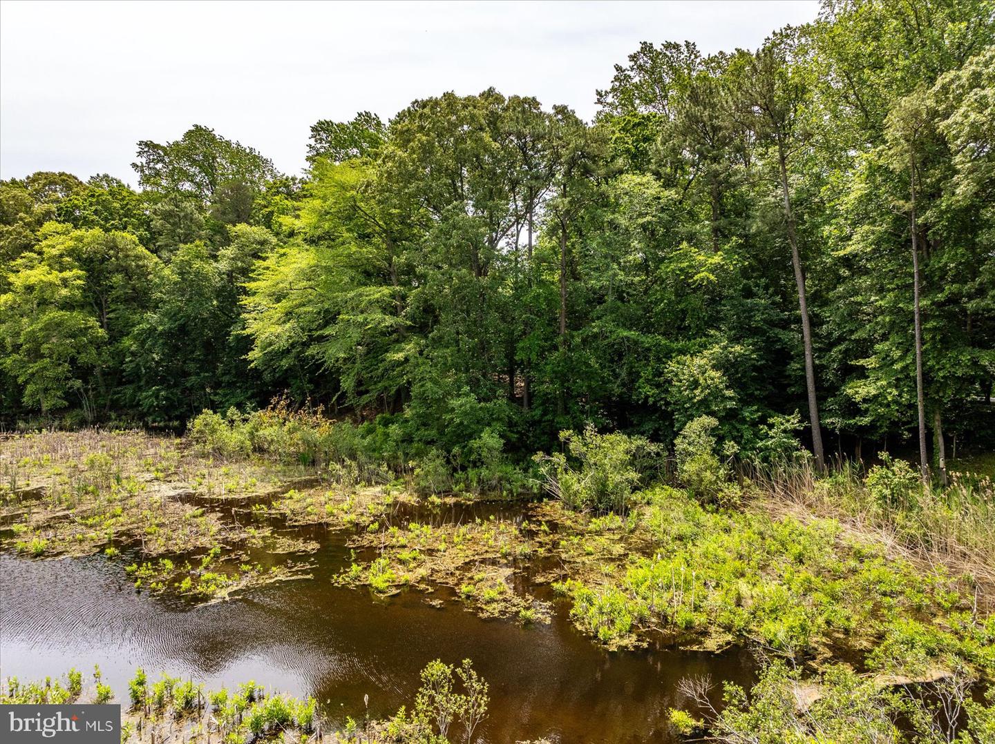 DESU2086054-804270841784-2025-10-28-12-34-59 32013 Long Ln | Lewes, DE Real Estate For Sale | MLS# Desu2086054  - Jack Lingo REALTOR