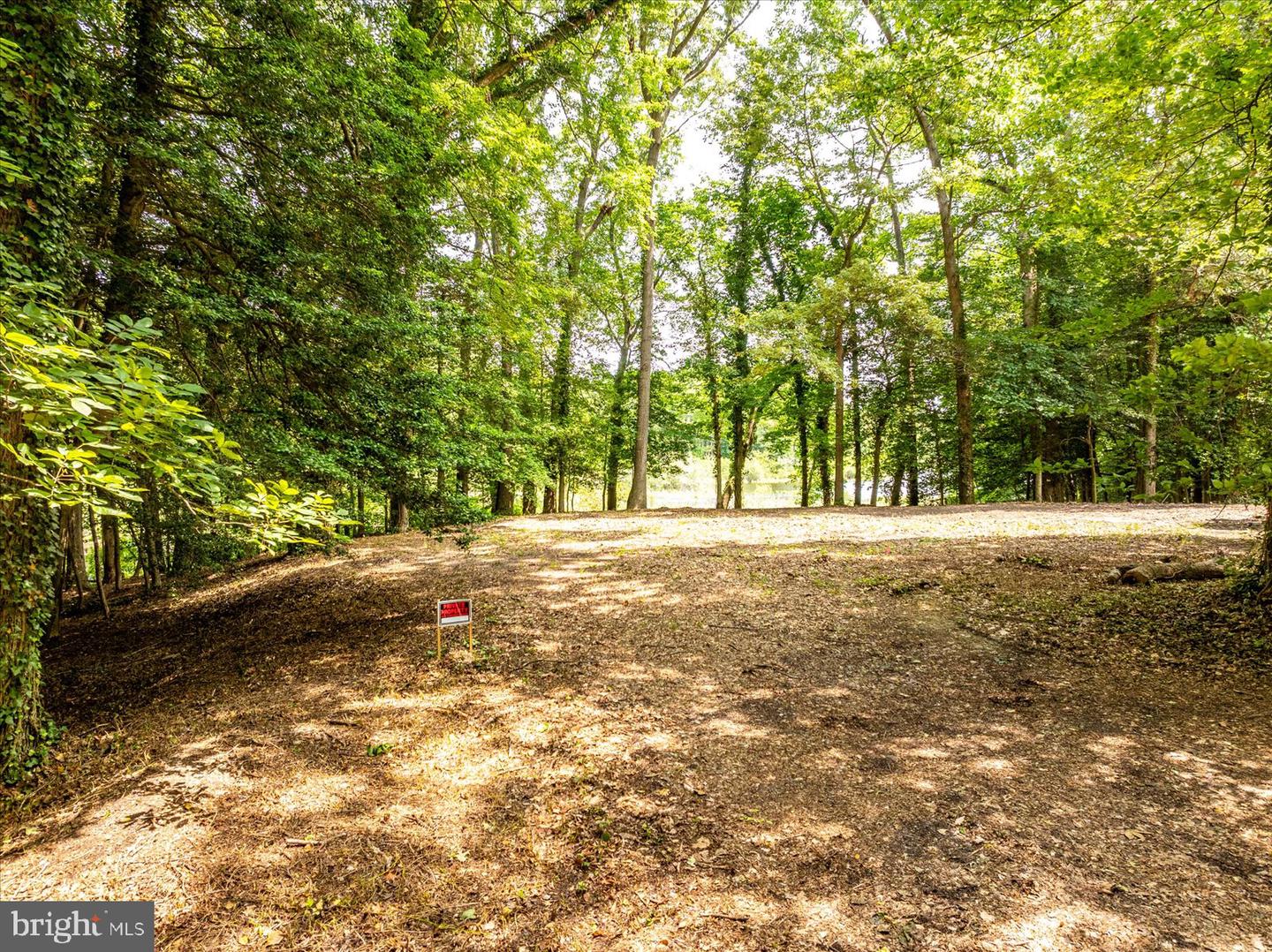 DESU2086054-804270841800-2025-10-28-12-35-00 32013 Long Ln | Lewes, DE Real Estate For Sale | MLS# Desu2086054  - Jack Lingo REALTOR