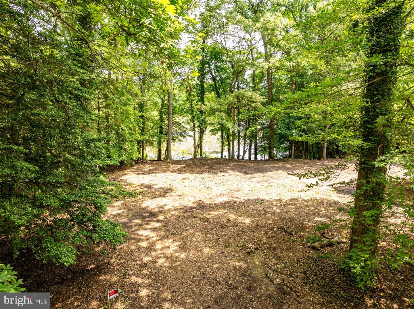 DESU2086054-804270841812-2025-10-28-12-35-00 32013 Long Ln | Lewes, DE Real Estate For Sale | MLS# Desu2086054  - Jack Lingo REALTOR