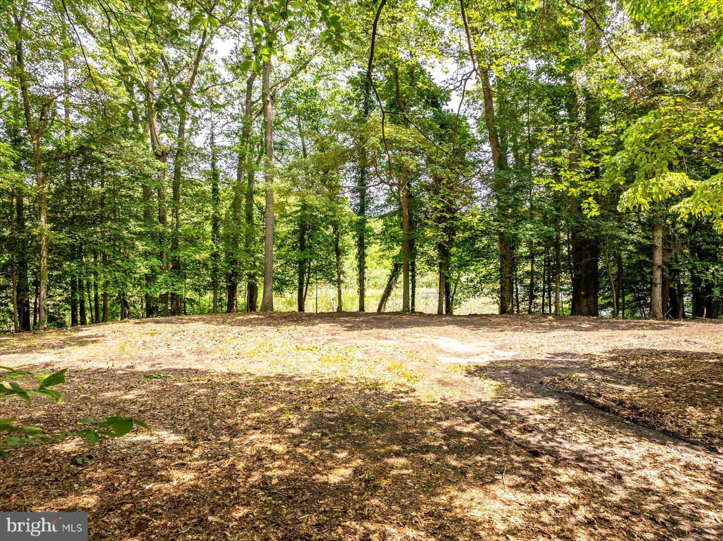 DESU2086054-804270841890-2025-10-28-12-35-00 32013 Long Ln | Lewes, DE Real Estate For Sale | MLS# Desu2086054  - Jack Lingo REALTOR