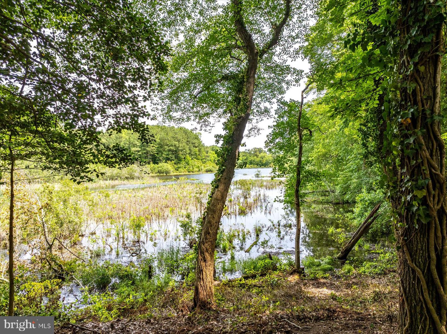 DESU2086054-804270849870-2025-10-28-12-35-00 32013 Long Ln | Lewes, DE Real Estate For Sale | MLS# Desu2086054  - Jack Lingo REALTOR