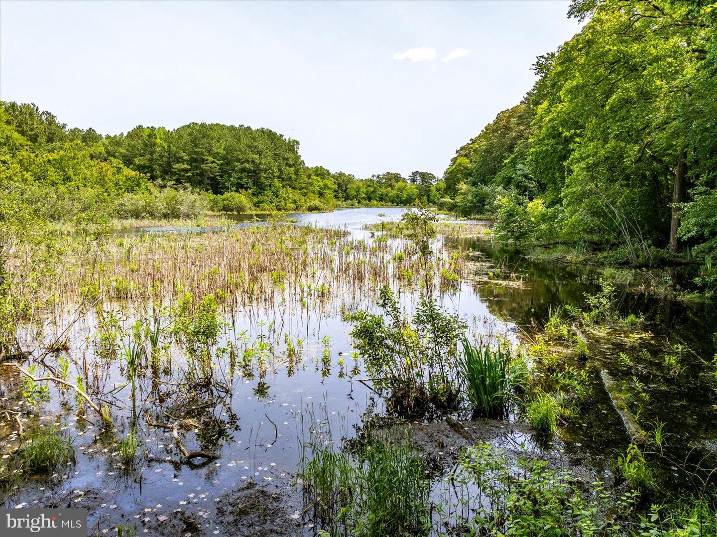 DESU2086054-804270849894-2025-10-28-12-34-59 32013 Long Ln | Lewes, DE Real Estate For Sale | MLS# Desu2086054  - Jack Lingo REALTOR