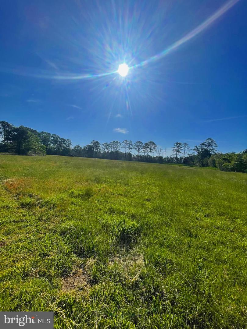 DESU2086096-803863421876-2025-06-12-18-02-25 Tbd Dirickson Creek Road | Frankford, DE Real Estate For Sale | MLS# Desu2086096  - Jack Lingo REALTOR