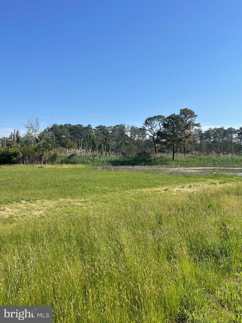 DESU2086096-803863422514-2025-06-12-18-02-25 Tbd Dirickson Creek Road | Frankford, DE Real Estate For Sale | MLS# Desu2086096  - Jack Lingo REALTOR