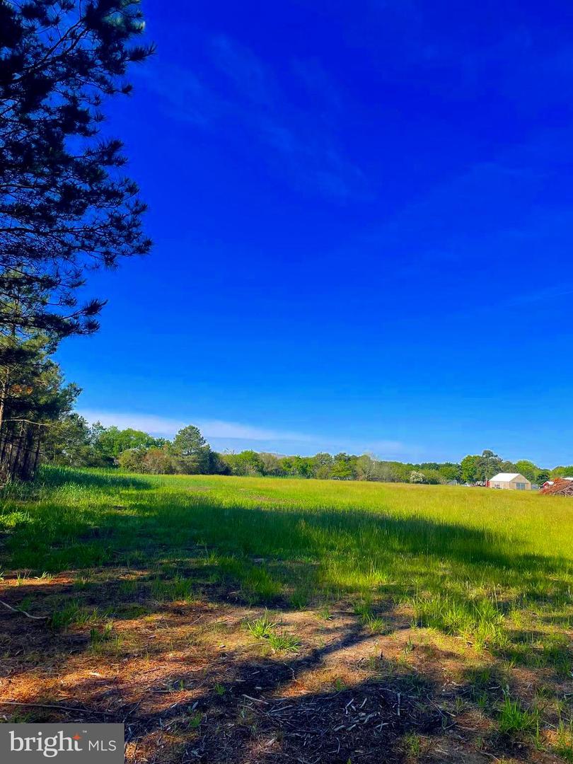 DESU2086096-803863427102-2025-06-12-18-02-25 Tbd Dirickson Creek Road | Frankford, DE Real Estate For Sale | MLS# Desu2086096  - Jack Lingo REALTOR