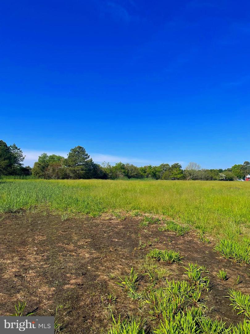 DESU2086096-803863427118-2025-06-12-18-02-25 Tbd Dirickson Creek Road | Frankford, DE Real Estate For Sale | MLS# Desu2086096  - Jack Lingo REALTOR
