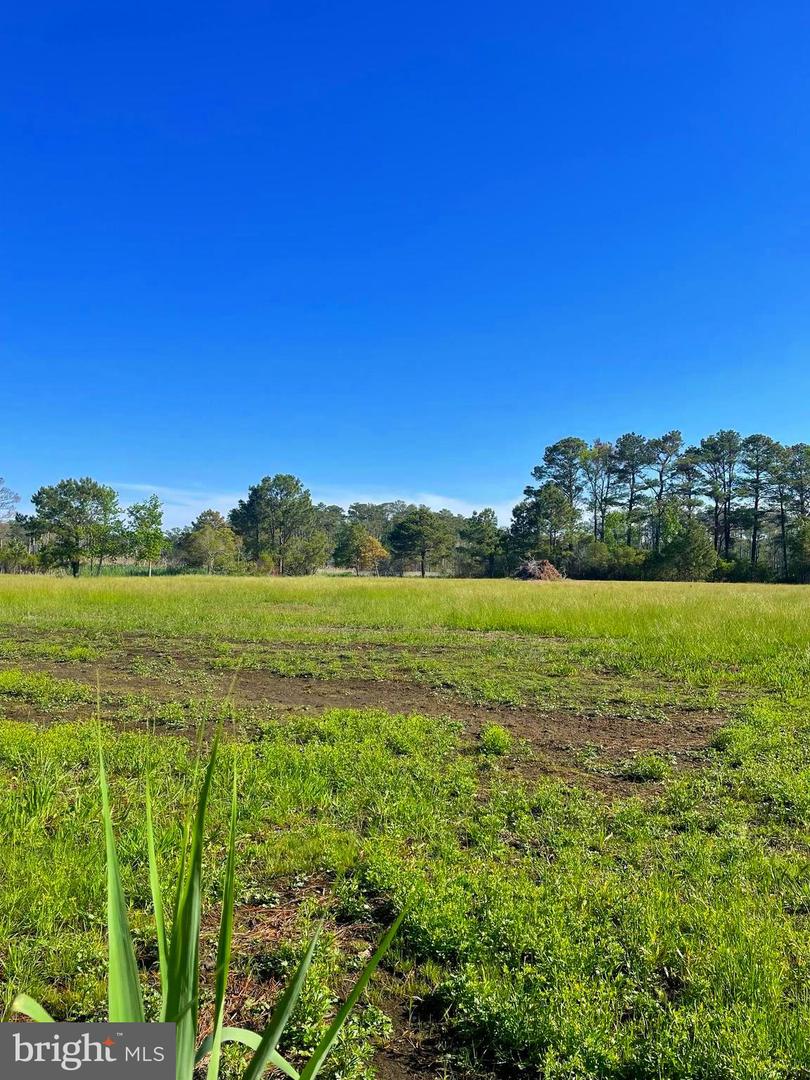 DESU2086096-803863427184-2025-06-12-18-02-25 Tbd Dirickson Creek Road | Frankford, DE Real Estate For Sale | MLS# Desu2086096  - Jack Lingo REALTOR