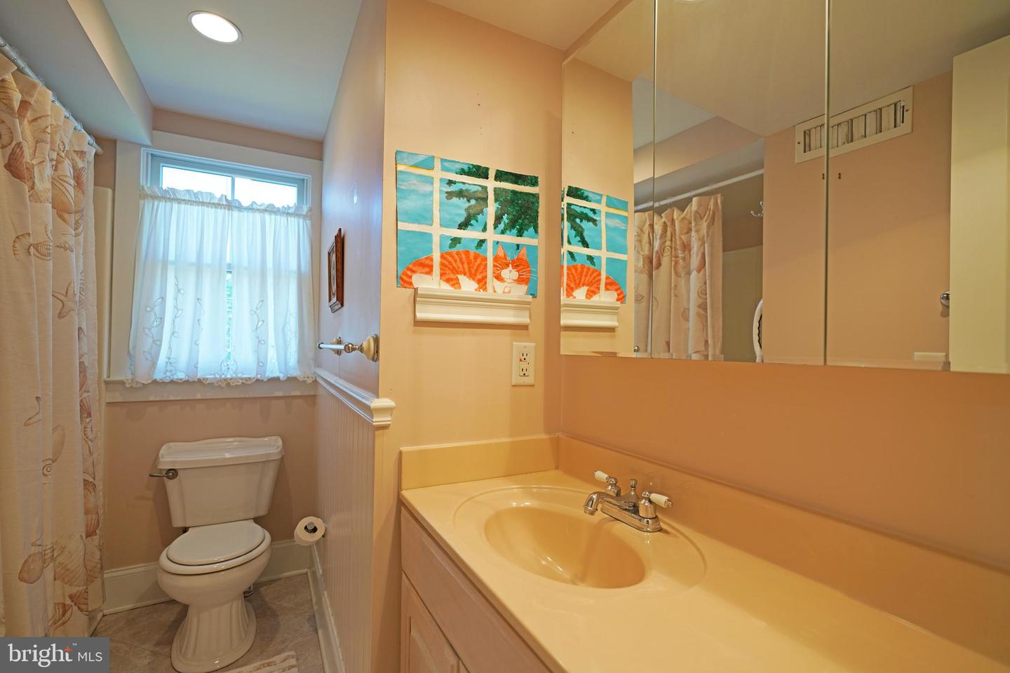 DESU2086100-803852984406-2025-06-03-16-14-37 332 Chestnut St | Lewes, DE Real Estate For Sale | MLS# Desu2086100  - Jack Lingo REALTOR