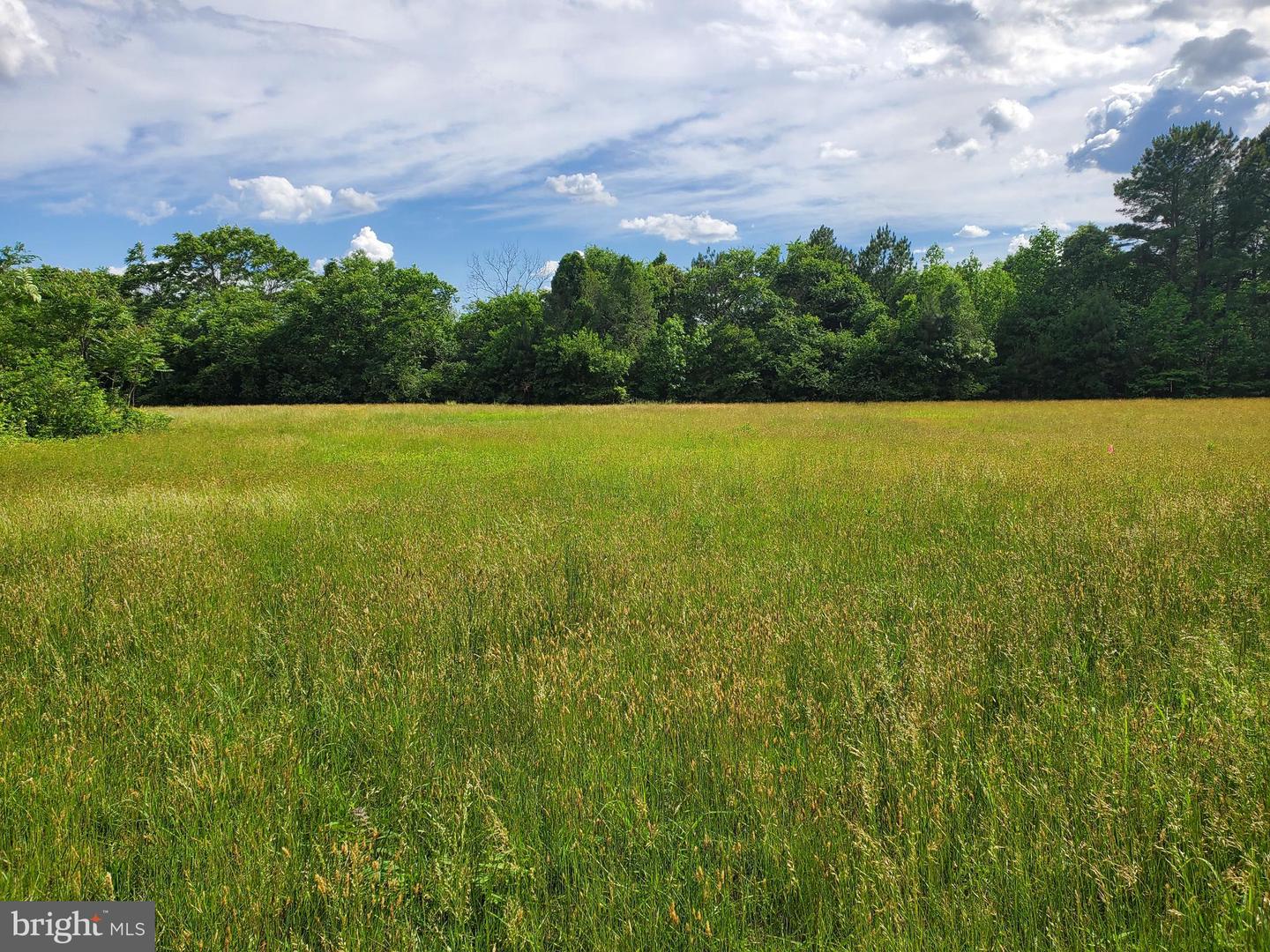 28453 MARTINS FARM RD #LOT 1, MILTON, DE - Jack Lingo Realtor