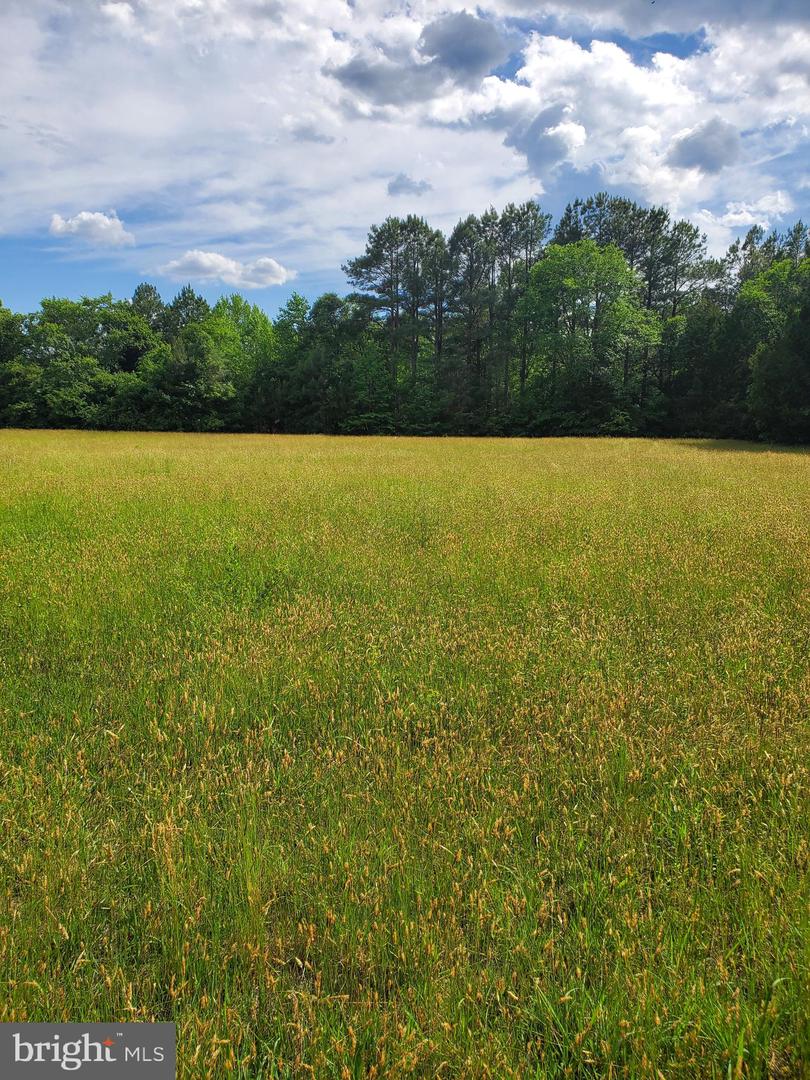 28453 MARTINS FARM RD #LOT 2, MILTON, DE - Jack Lingo Realtor