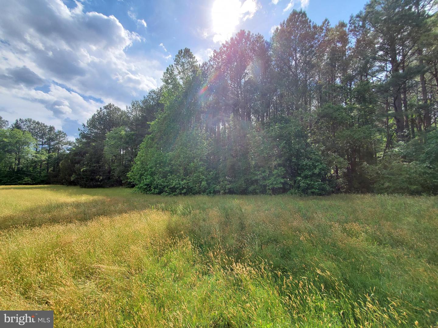 28453 MARTINS FARM RD #LOT 3, MILTON, DE - Jack Lingo Realtor