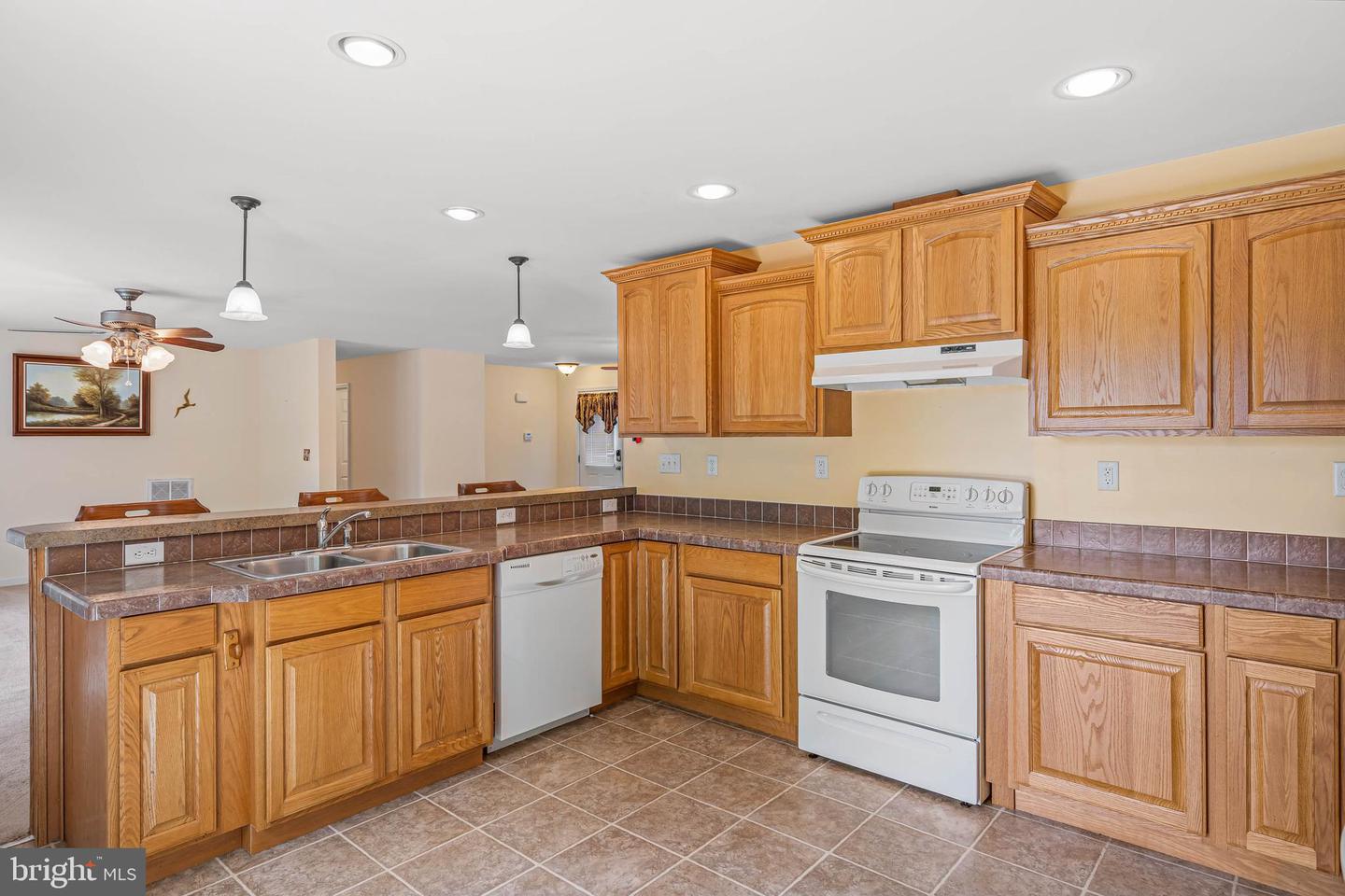 DESU2086170-803872323530-2025-06-13-22-06-25 34244 Omar Rd | Frankford, DE Real Estate For Sale | MLS# Desu2086170  - Jack Lingo REALTOR