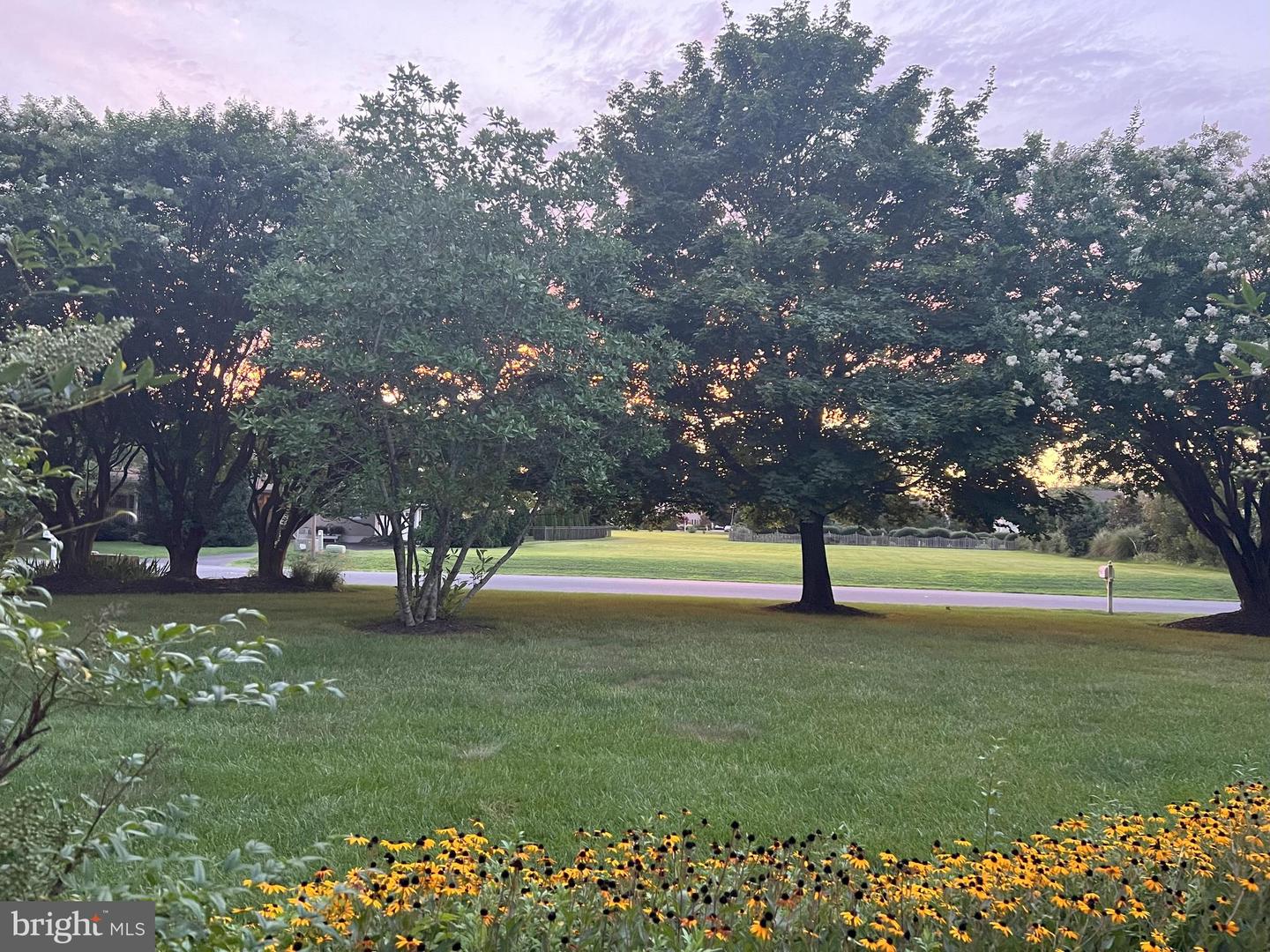 DESU2086388-803857486032-2025-05-16-12-15-40 4 S Lake Ter | Rehoboth Beach, DE Real Estate For Sale | MLS# Desu2086388  - Jack Lingo REALTOR