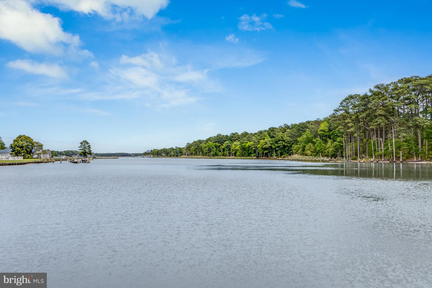 DESU2086468-803860241182-2025-05-16-12-50-43 172 Teal Dr | Millsboro, DE Real Estate For Sale | MLS# Desu2086468  - Jack Lingo REALTOR