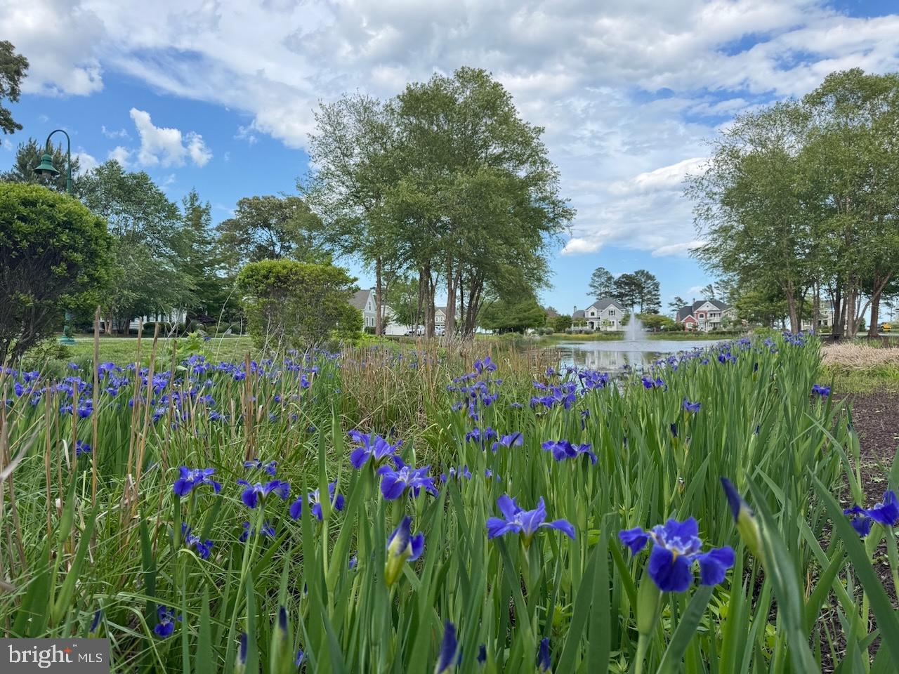DESU2086532-803874575652-2025-06-12-12-03-44 34637 Megan Ct | Lewes, DE Real Estate For Sale | MLS# Desu2086532  - Jack Lingo REALTOR