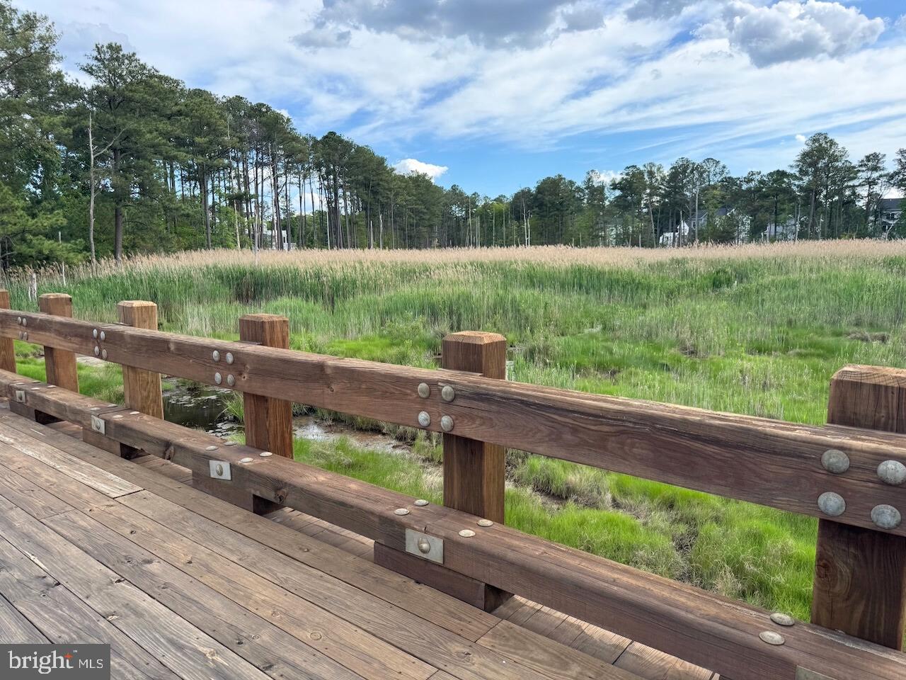 DESU2086532-803874580950-2025-06-12-12-03-45 34637 Megan Ct | Lewes, DE Real Estate For Sale | MLS# Desu2086532  - Jack Lingo REALTOR