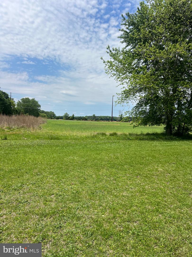 DESU2086544-803887860438-2025-05-28-12-14-40 33343 & 33355 Main St | Dagsboro, DE Real Estate For Sale | MLS# Desu2086544  - Jack Lingo REALTOR