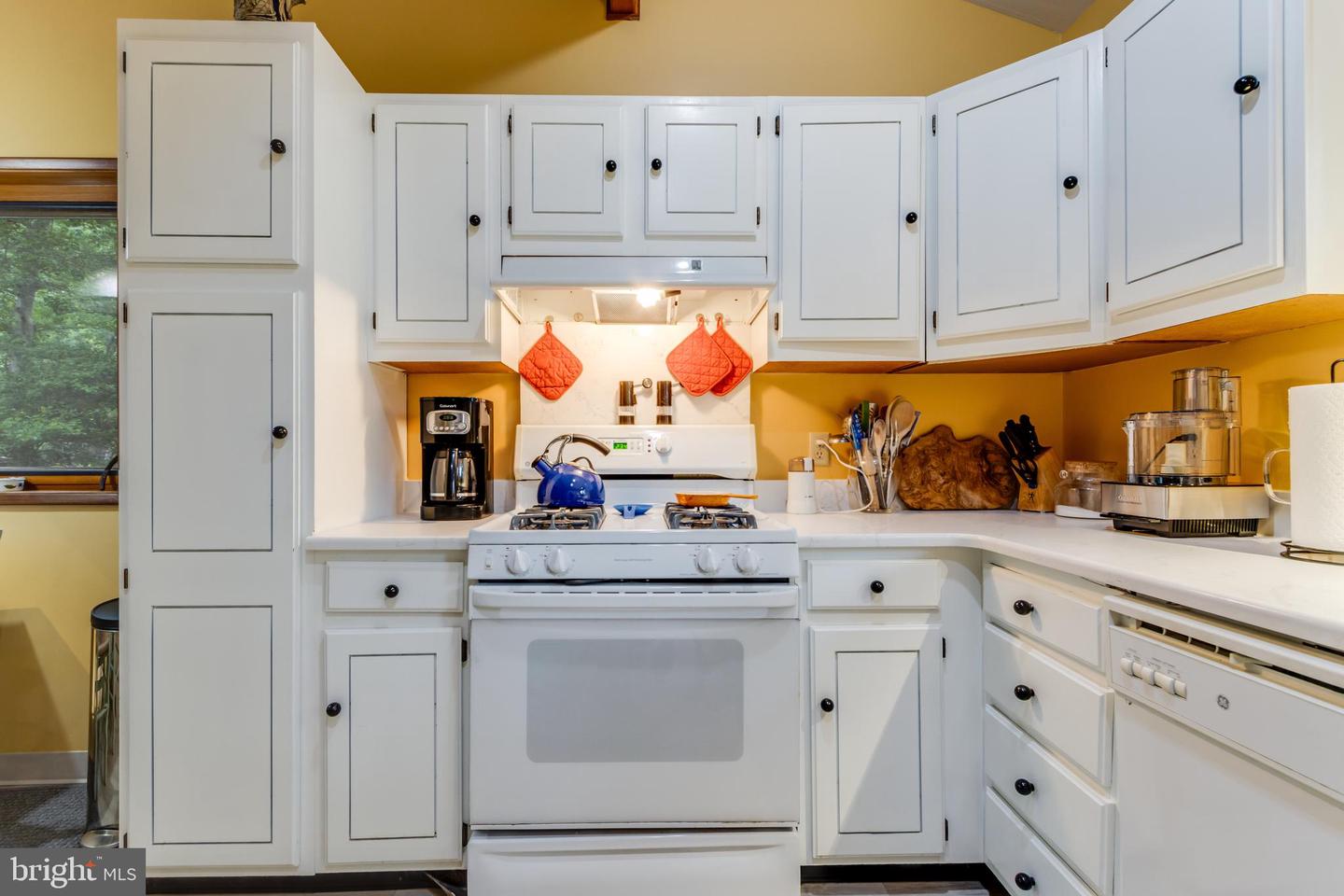 DESU2086590-803861859878-2025-05-16-21-18-10 94 Tidewaters Rd | Rehoboth Beach, DE Real Estate For Sale | MLS# Desu2086590  - Jack Lingo REALTOR