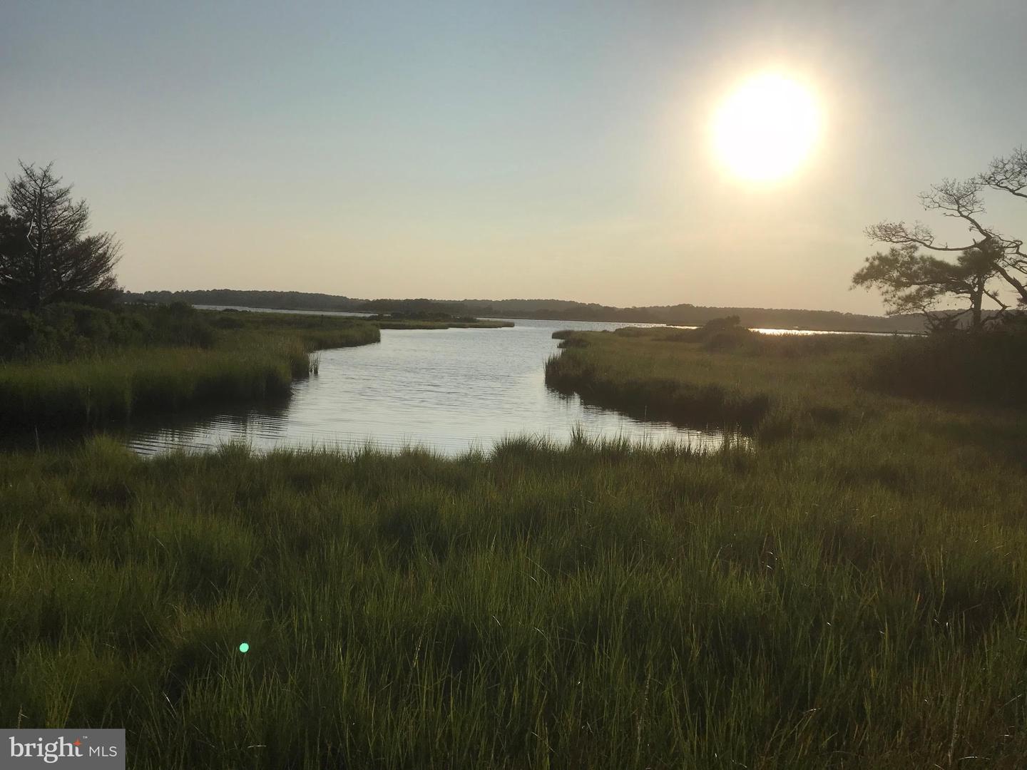 DESU2086622-803892477758-2025-12-22-16-32-18 38610 Sunflower St | Millville, DE Real Estate For Sale | MLS# Desu2086622  - Jack Lingo REALTOR