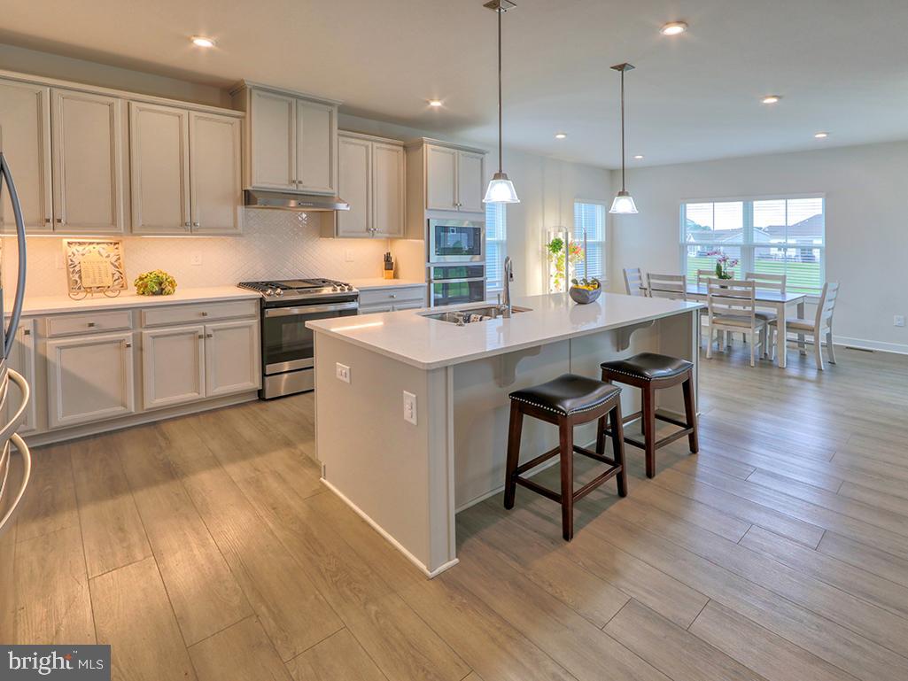 DESU2086628-803863718384-2025-05-18-10-05-31 29638 Perching Ct | Millsboro, DE Real Estate For Sale | MLS# Desu2086628  - Jack Lingo REALTOR