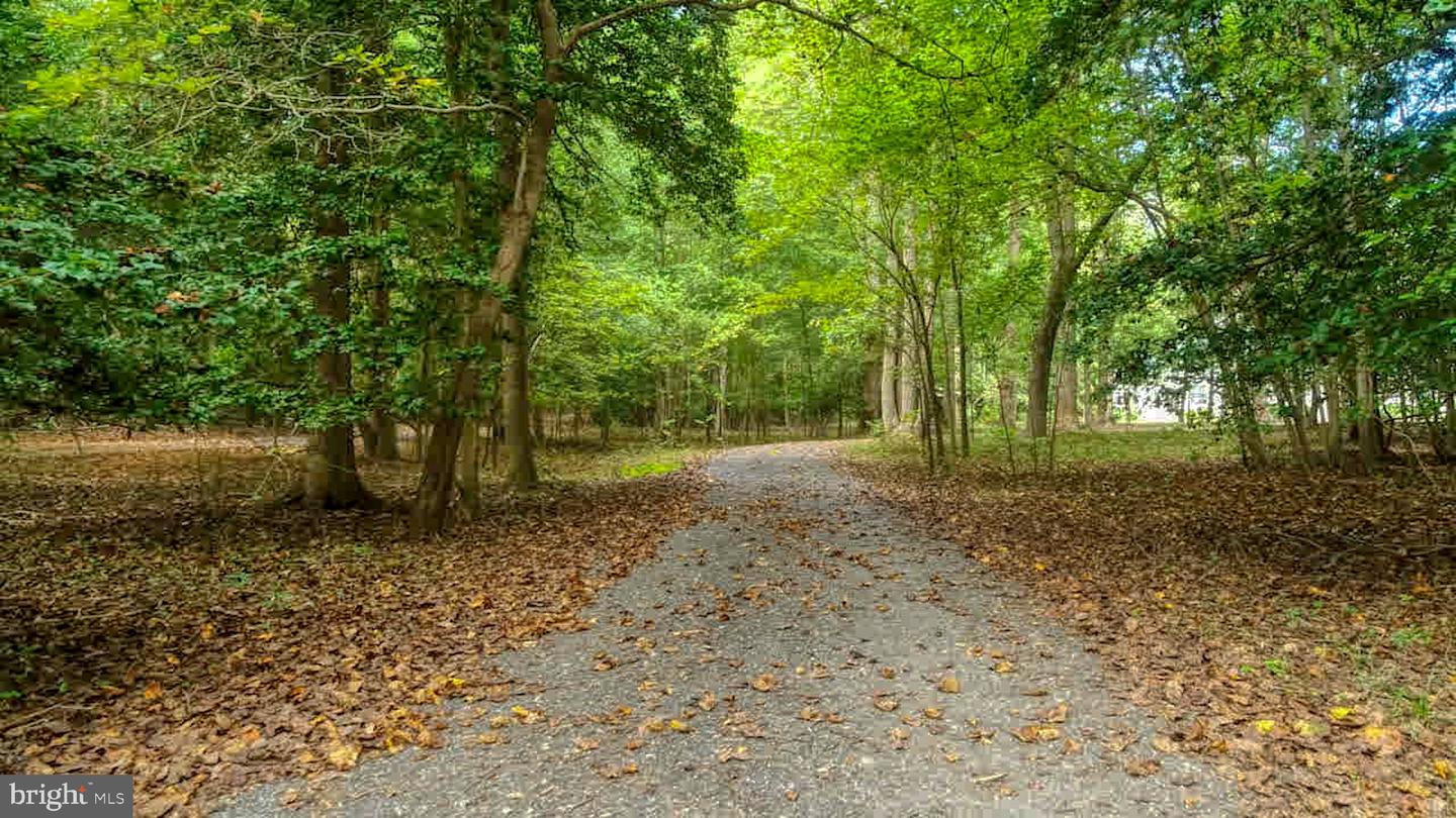 DESU2086800-804213099708-2025-10-05-08-15-48 29247 White Pine Ln | Milton, DE Real Estate For Sale | MLS# Desu2086800 - Jack Lingo REALTOR DESU2086800-804213099708-2025-10-05-08-15-48 29247 White Pine Ln | Milton, DE Real Estate For Sale | MLS# Desu2086800 - Jack Lingo REALTOR