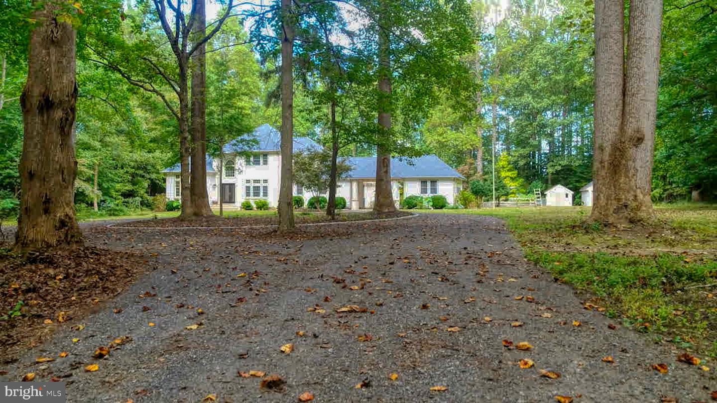 DESU2086800-804213099830-2025-10-05-08-15-48 29247 White Pine Ln | Milton, DE Real Estate For Sale | MLS# Desu2086800 - Jack Lingo REALTOR DESU2086800-804213099830-2025-10-05-08-15-48 29247 White Pine Ln | Milton, DE Real Estate For Sale | MLS# Desu2086800 - Jack Lingo REALTOR