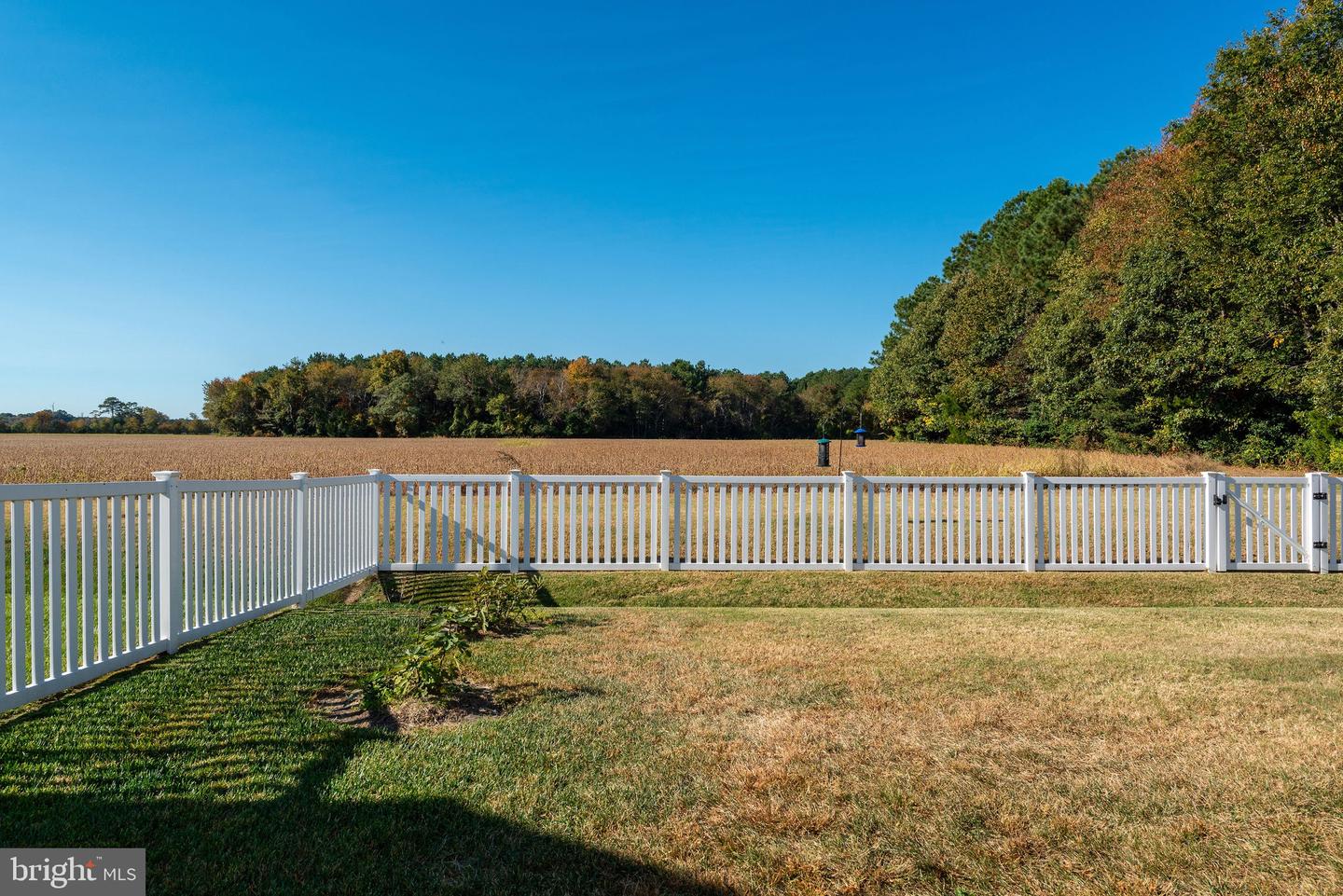 DESU2086838-803869835254-2025-07-07-13-58-11 31204 Anchor Watch Loop | Dagsboro, DE Real Estate For Sale | MLS# Desu2086838  - Jack Lingo REALTOR
