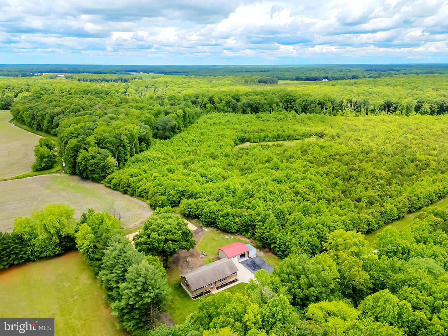 DESU2086850-803883188080-2025-06-11-15-50-34 14298 S Union Church Rd | Ellendale, DE Real Estate For Sale | MLS# Desu2086850  - Jack Lingo REALTOR