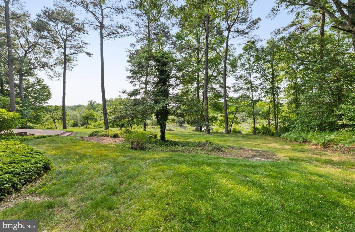 DESU2086882-803908784318-2025-06-10-15-13-07 24014 Shea Rd | Millsboro, DE Real Estate For Sale | MLS# Desu2086882  - Jack Lingo REALTOR