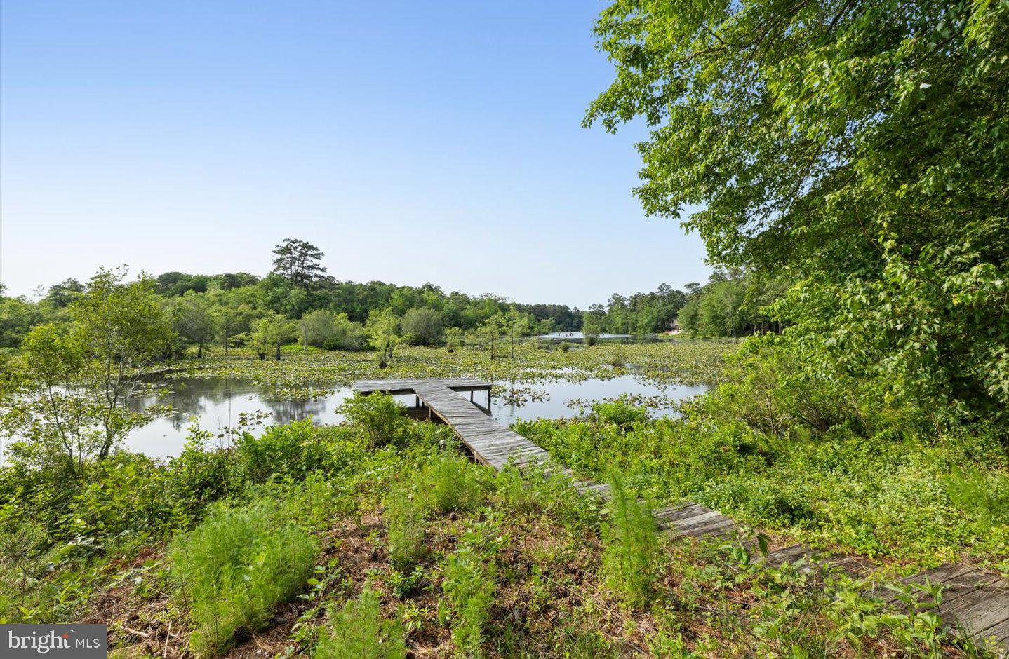 DESU2086882-803908785104-2025-06-10-15-13-09 24014 Shea Rd | Millsboro, DE Real Estate For Sale | MLS# Desu2086882  - Jack Lingo REALTOR