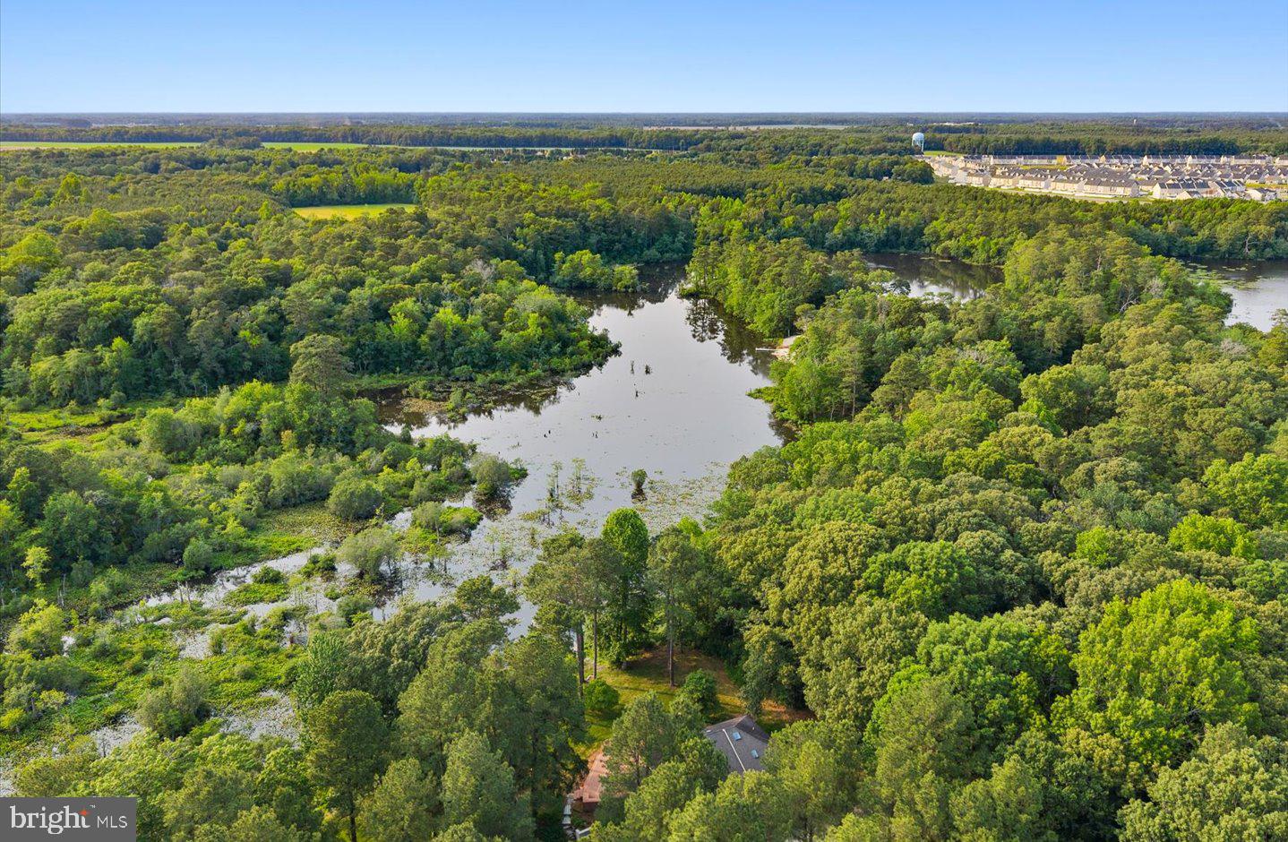 DESU2086882-803908787528-2025-10-06-12-01-36 24014 Shea Rd | Millsboro, DE Real Estate For Sale | MLS# Desu2086882  - Jack Lingo REALTOR DESU2086882-803908787528-2025-10-06-12-01-36 24014 Shea Rd | Millsboro, DE Real Estate For Sale | MLS# Desu2086882  - Jack Lingo REALTOR