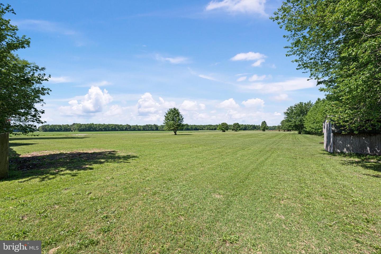DESU2086928-803873077440-2025-06-11-19-17-35 38096 Parker Rd | Millsboro, DE Real Estate For Sale | MLS# Desu2086928  - Jack Lingo REALTOR