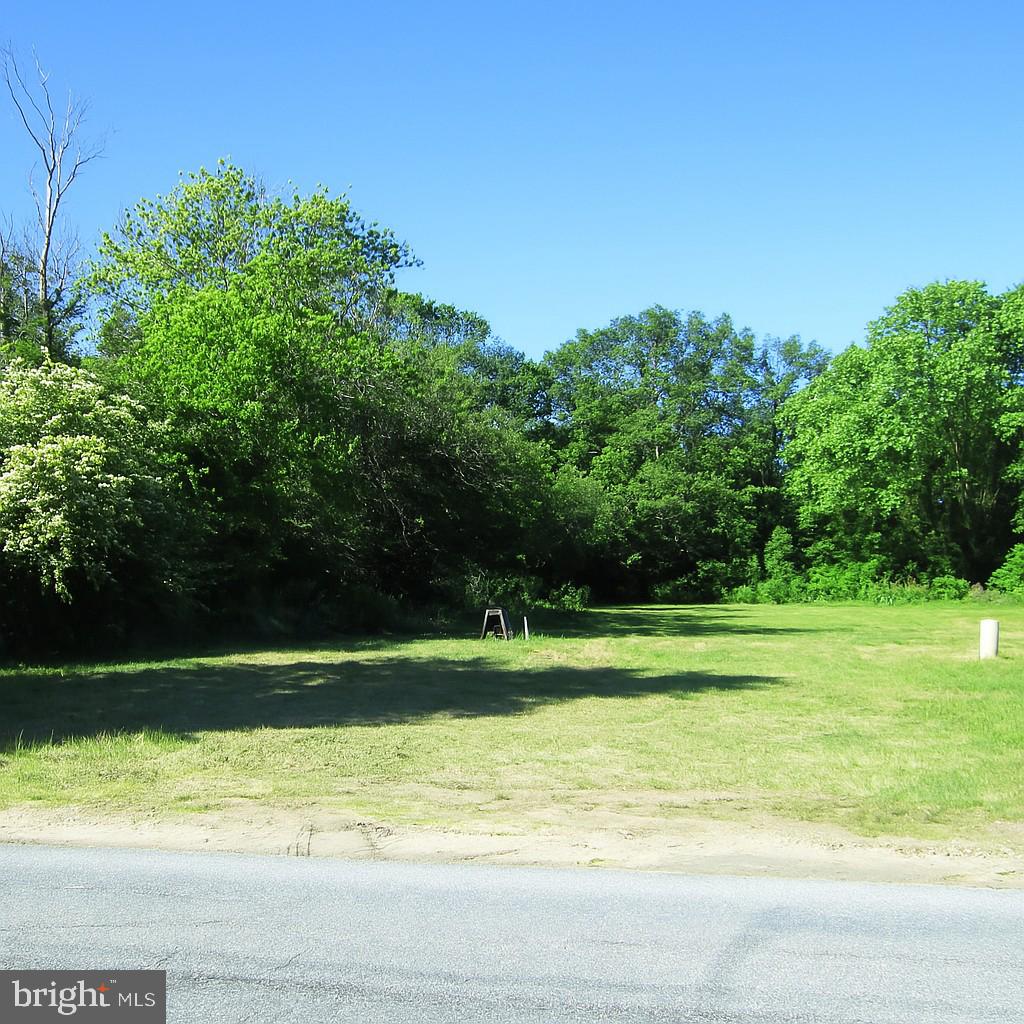 28046 LAYTON DAVIS RD, MILLSBORO, DE - Jack Lingo Realtor