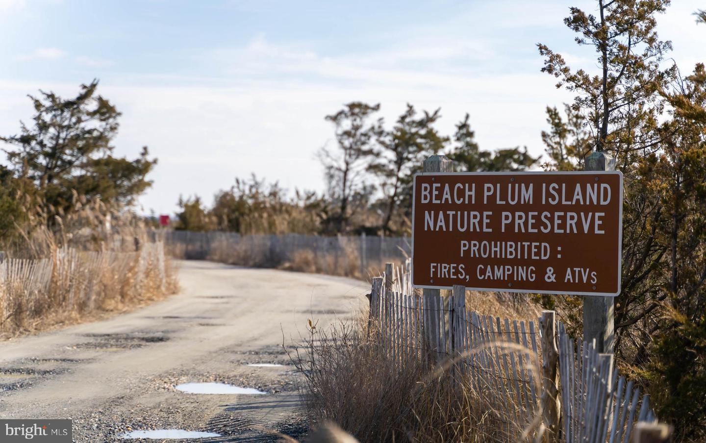 DESU2086980-803875393408-2025-06-17-15-32-53 Tbb Lot 7 Pintail Ln | Milton, DE Real Estate For Sale | MLS# Desu2086980 - Jack Lingo REALTOR DESU2086980-803875393408-2025-06-17-15-32-53 Tbb Lot 7 Pintail Ln | Milton, DE Real Estate For Sale | MLS# Desu2086980 - Jack Lingo REALTOR