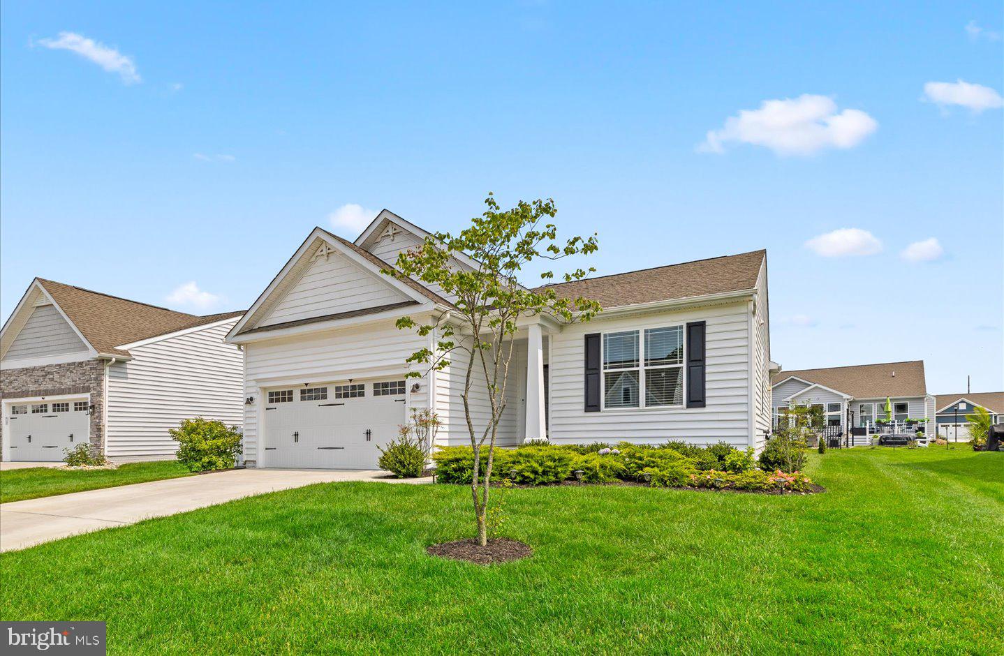 25040 TREEVIEW LN, LEWES, DE - Jack Lingo Realtor
