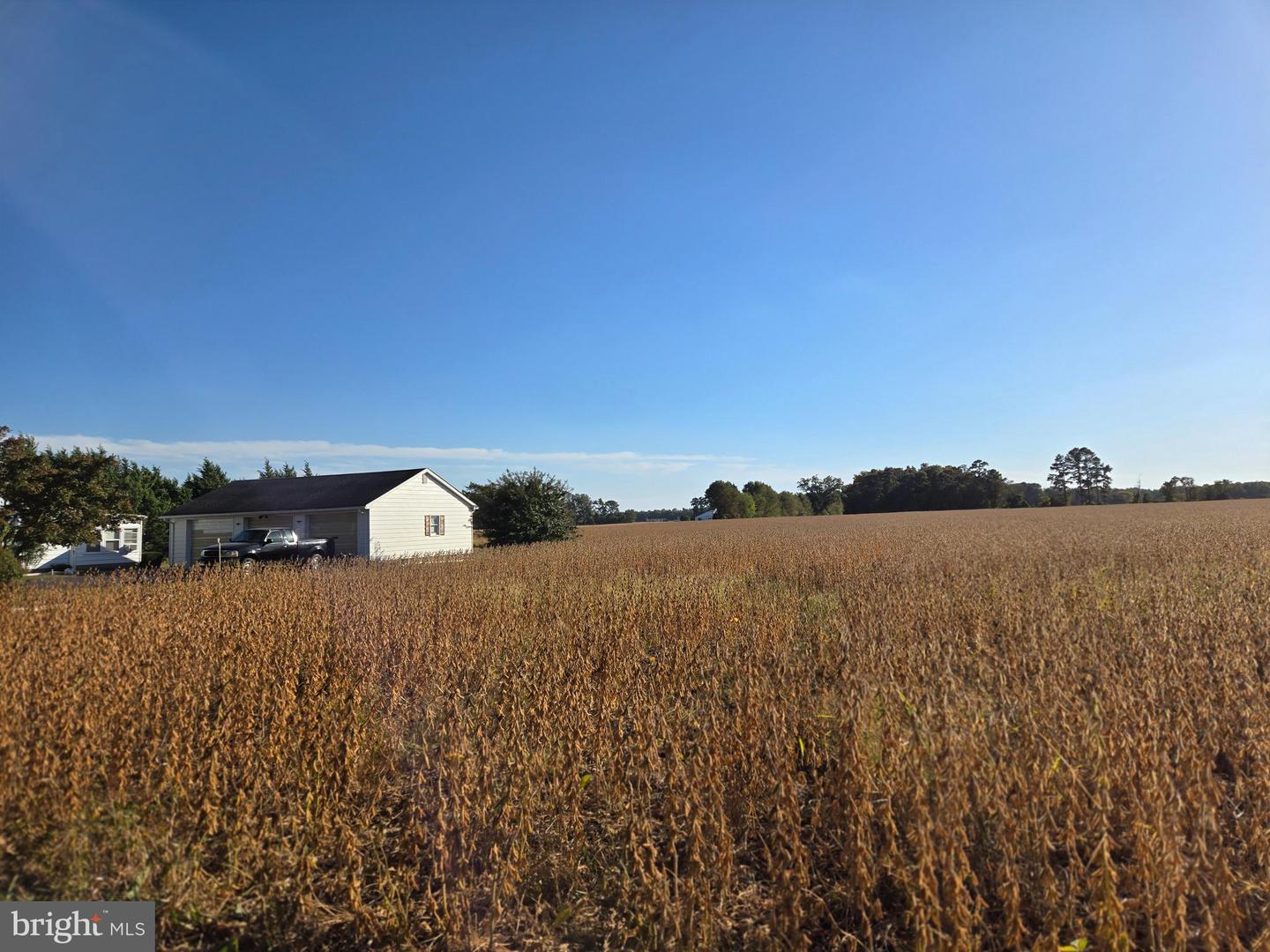 DESU2087078-803877382764-2025-05-23-00-08-51 Tbd Rust Rd | Milford, DE Real Estate For Sale | MLS# Desu2087078  - Jack Lingo REALTOR