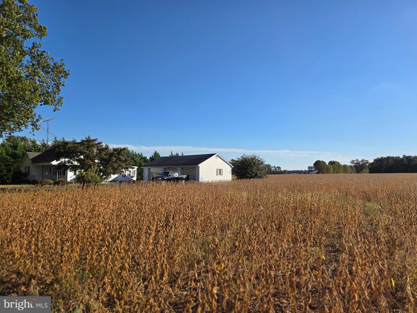 DESU2087078-803877382776-2025-05-23-00-08-51 Tbd Rust Rd | Milford, DE Real Estate For Sale | MLS# Desu2087078  - Jack Lingo REALTOR