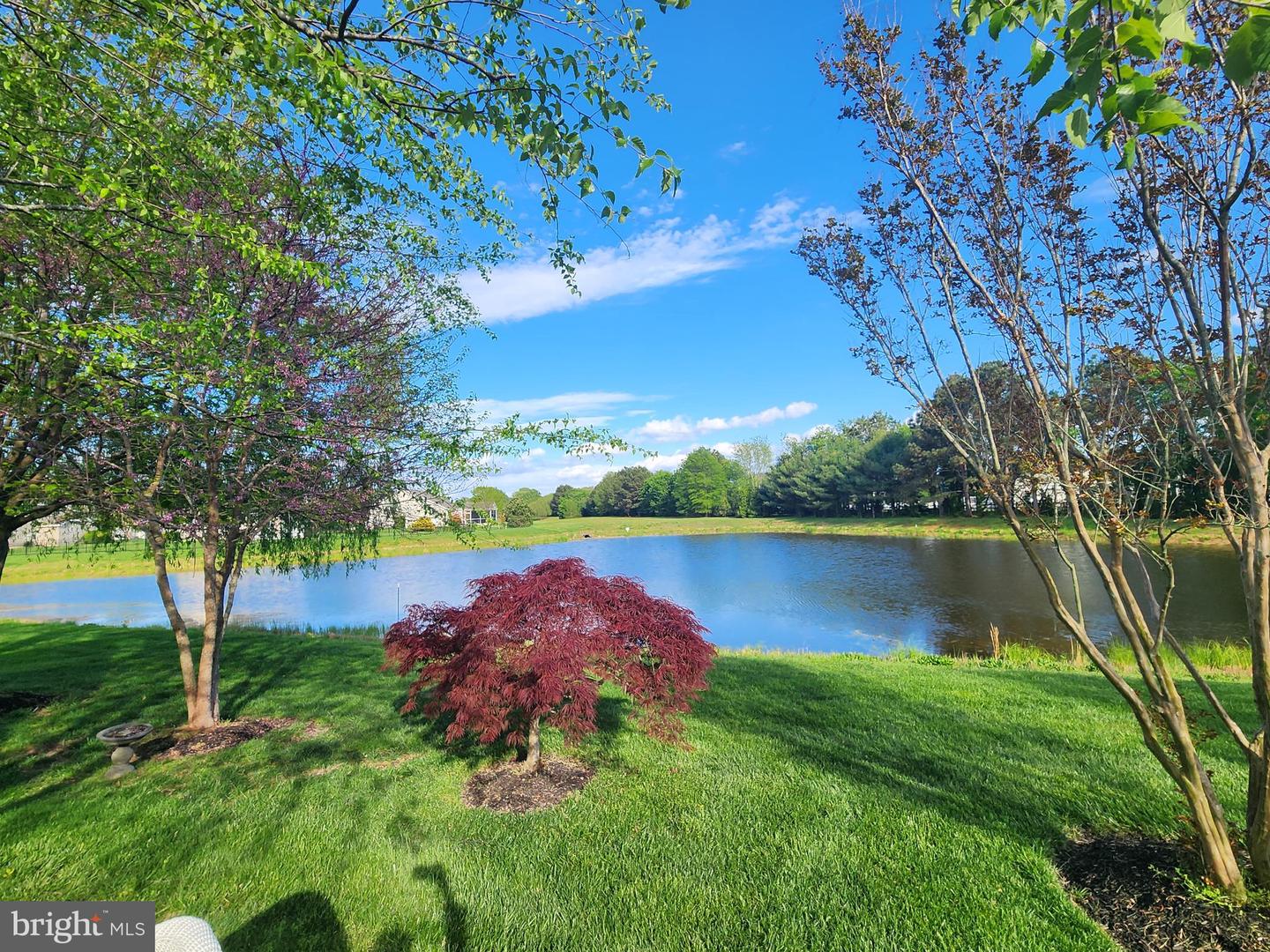 DESU2087222-804056218558-2025-07-31-23-24-01 34897 Seagrass Plantation Ln | Dagsboro, DE Real Estate For Sale | MLS# Desu2087222  - Jack Lingo REALTOR