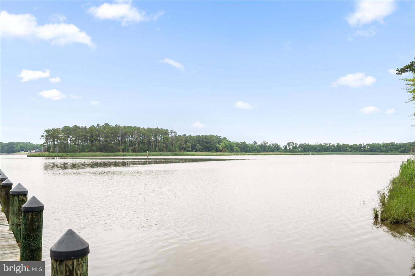 DESU2087240-803899043630-2025-06-18-20-05-16 10011 Iron Pointe Dr | Millsboro, DE Real Estate For Sale | MLS# Desu2087240  - Jack Lingo REALTOR