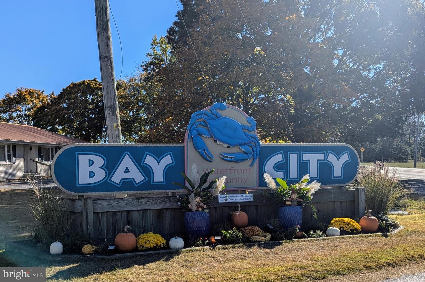 DESU2087266-803882767966-2025-07-12-11-26-42 25868 N Oak St #49357 | Millsboro, DE Real Estate For Sale | MLS# Desu2087266  - Jack Lingo REALTOR