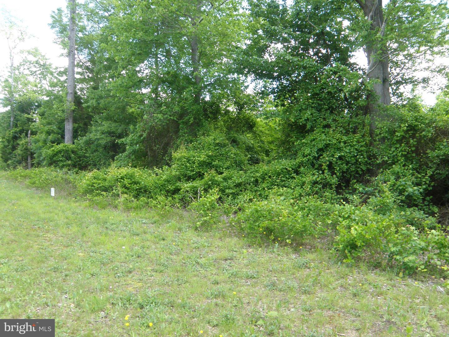 DESU2087268-803884990272-2026-03-07-16-14-47 Lot F Shortly Rd. 133-9.00-9.22 | Georgetown, DE Real Estate For Sale | MLS# Desu2087268  - Jack Lingo REALTOR
