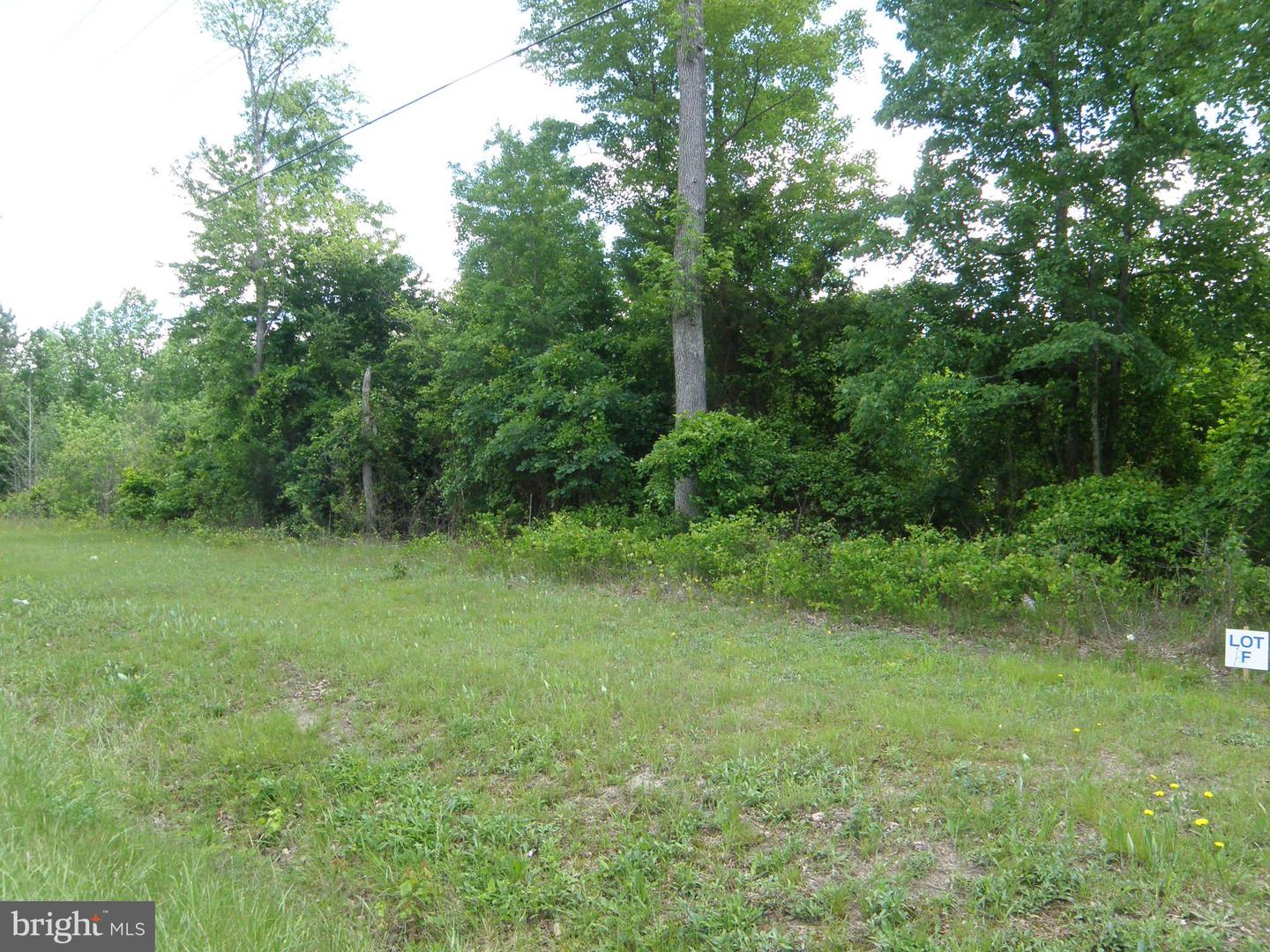 DESU2087268-803884990356-2026-03-07-16-14-47 Lot F Shortly Rd. 133-9.00-9.22 | Georgetown, DE Real Estate For Sale | MLS# Desu2087268  - Jack Lingo REALTOR